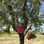 La Casa Del Sole Bed & Breakfast