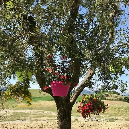 La Casa Del Sole Bed & Breakfast