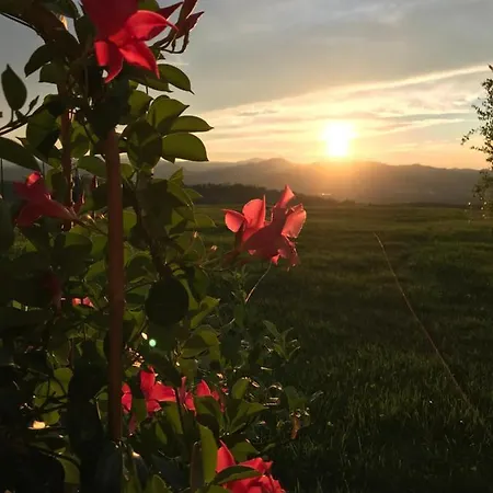 La Casa Del Sole Bed & Breakfast