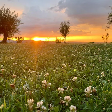 La Casa Del Sole Bed and breakfast 3*