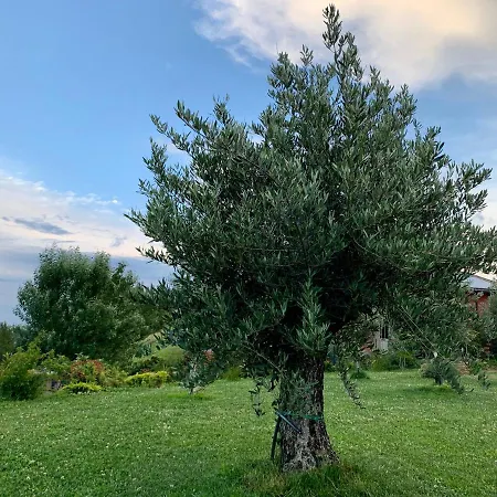 La Casa Del Sole Отель типа 
