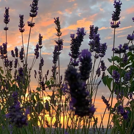 La Casa Del Sole Bed & Breakfast