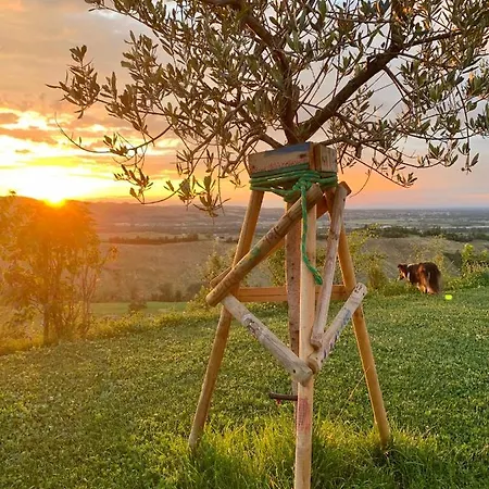 La Casa Del Sole Bed & Breakfast 3*