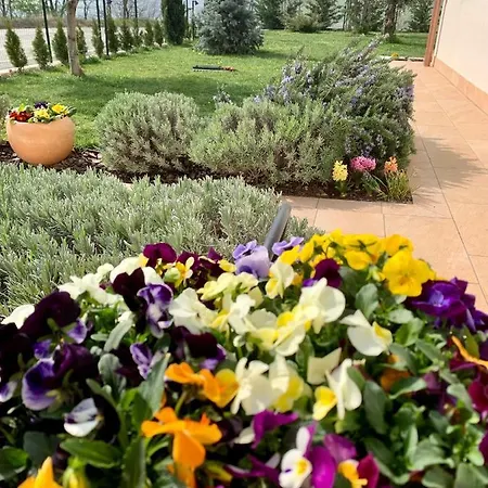 La Casa Del Sole Sala Baganza