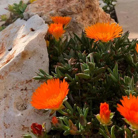 Bed & Breakfast La Casa Del Sole Sala Baganza