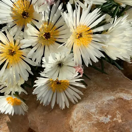 La Casa Del Sole Отель типа 