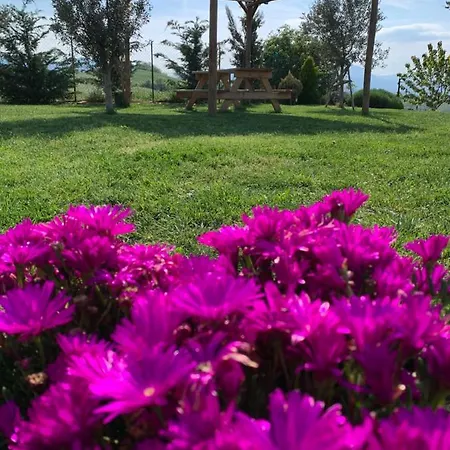 La Casa Del Sole 3* Sala Baganza