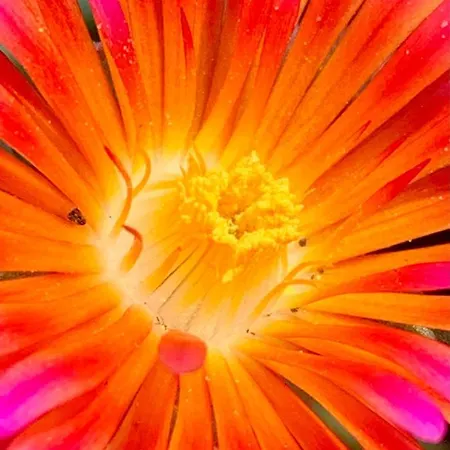 La Casa Del Sole Sala Baganza