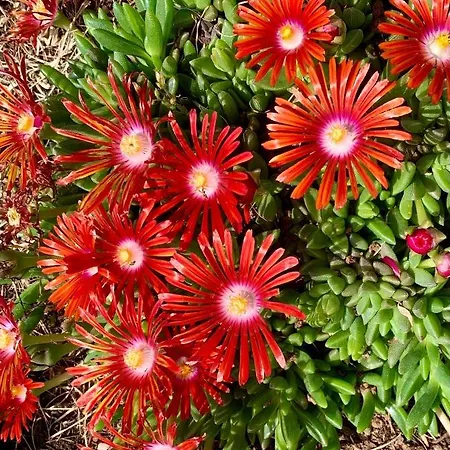 La Casa Del Sole Sala Baganza