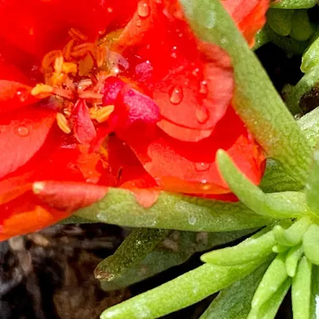 La Casa Del Sole Bed and breakfast