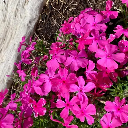 Bed & Breakfast La Casa Del Sole 3*