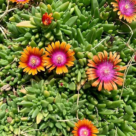 Bed & Breakfast La Casa Del Sole Sala Baganza