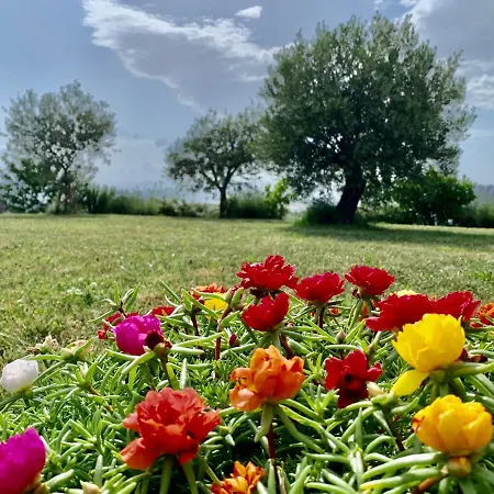 La Casa Del Sole فندق مبيت وإفطار 3*