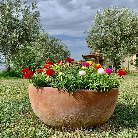 Bed & Breakfast La Casa Del Sole Sala Baganza