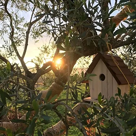 La Casa Del Sole ベッド・アンド・ブレックファスト 3*