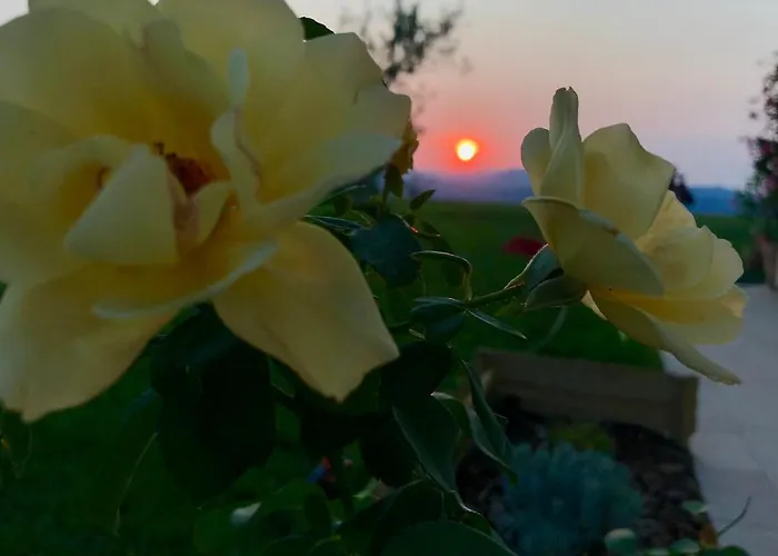 לינה וארוחת בוקר La Casa Del Sole סלה בגאנצה