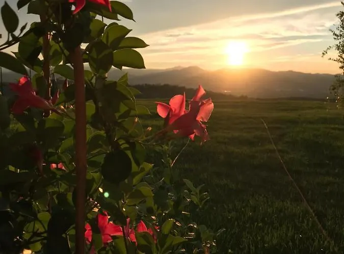 La Casa Del Sole B&B