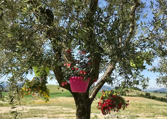 La Casa Del Sole B&B