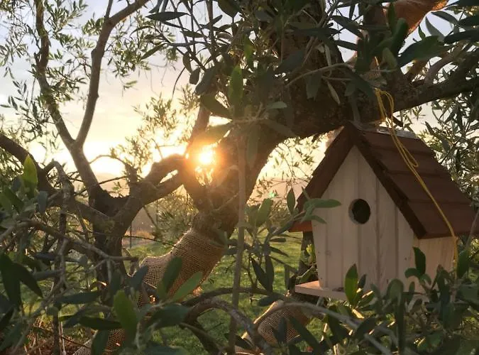 לינה וארוחת בוקר La Casa Del Sole