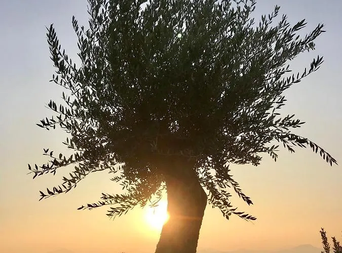 La Casa Del Sole לינה וארוחת בוקר