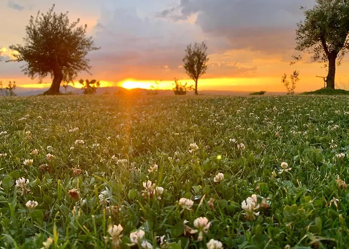 La Casa Del Sole B&B 3*