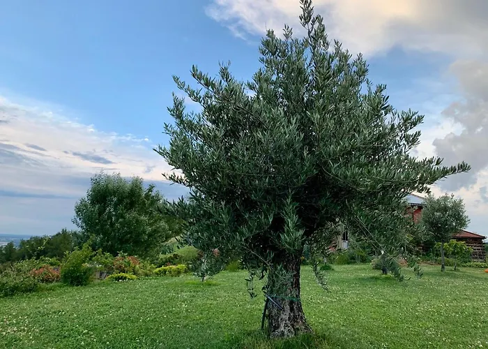 La Casa Del Sole לינה וארוחת בוקר סלה בגאנצה