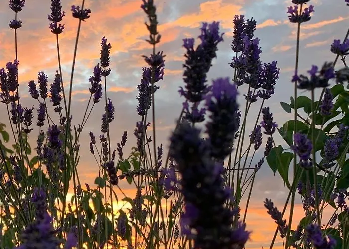 La Casa Del Sole לינה וארוחת בוקר