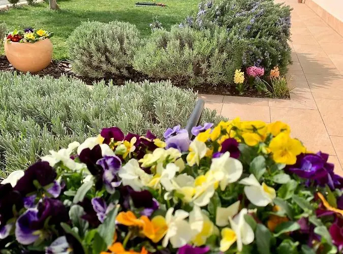 La Casa Del Sole 살라바간자