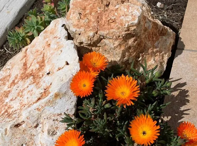 לינה וארוחת בוקר La Casa Del Sole