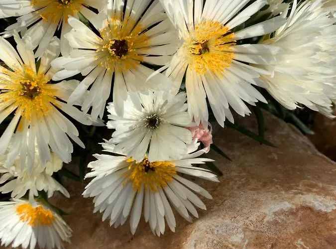 La Casa Del Sole B&B 살라바간자