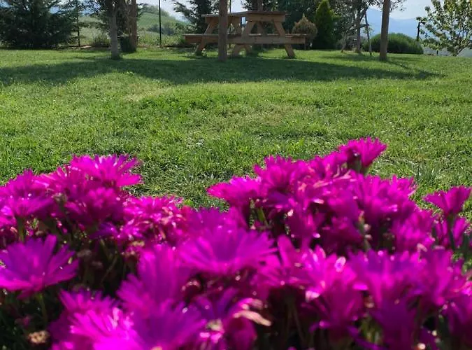 La Casa Del Sole 3* סלה בגאנצה