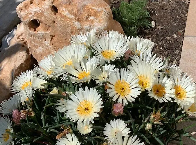 La Casa Del Sole B&B