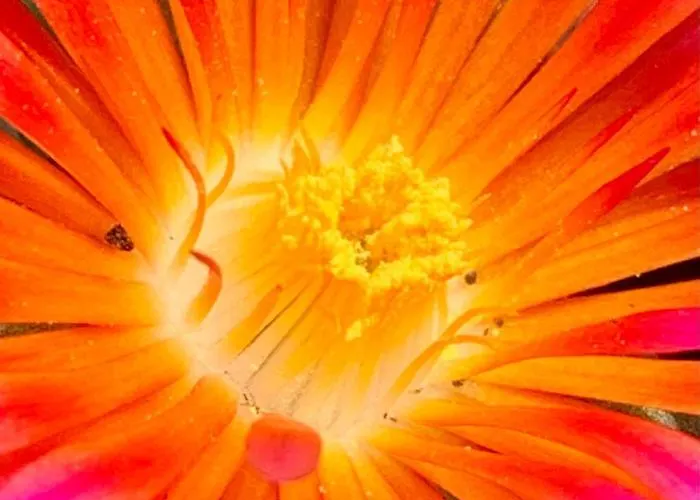 La Casa Del Sole סלה בגאנצה