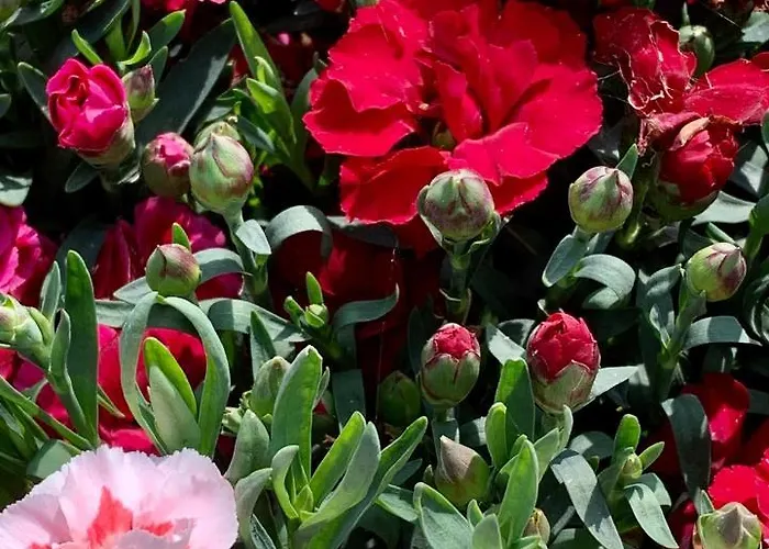 לינה וארוחת בוקר La Casa Del Sole