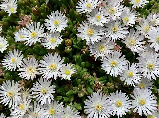 La Casa Del Sole לינה וארוחת בוקר