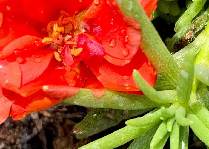 La Casa Del Sole B&B