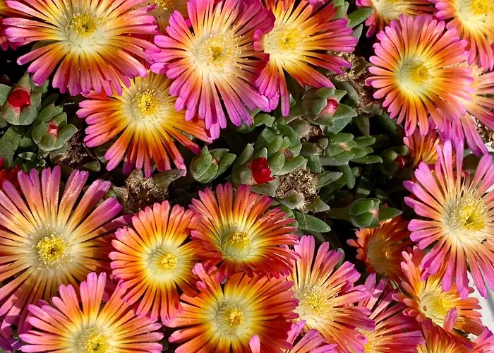 B&B La Casa Del Sole 살라바간자