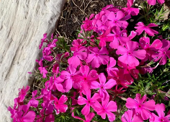 B&B La Casa Del Sole 3*