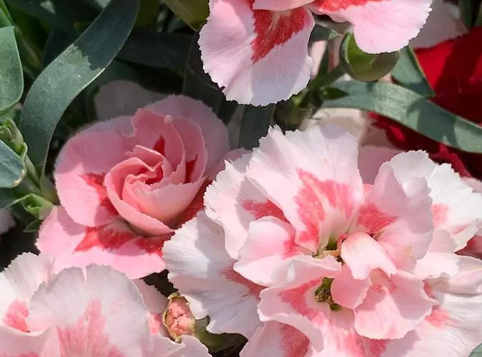 B&B La Casa Del Sole