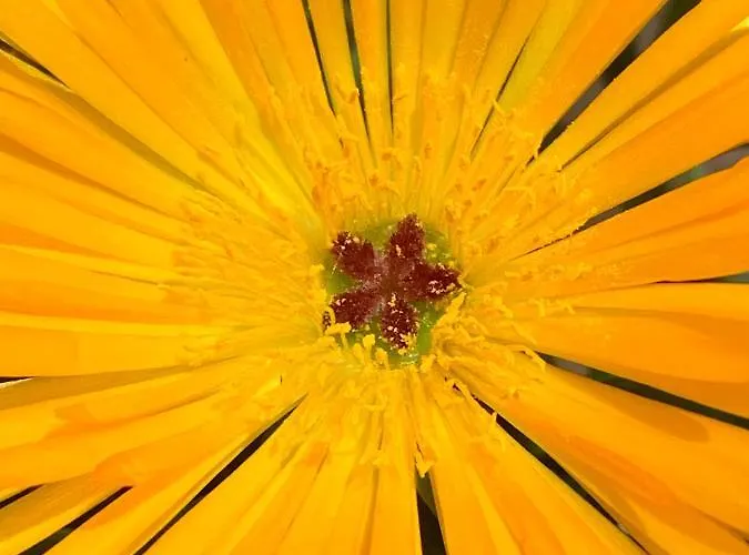 La Casa Del Sole לינה וארוחת בוקר