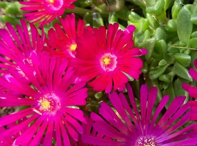 La Casa Del Sole B&B 3*