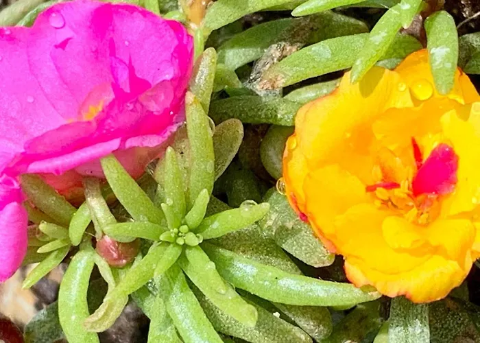 La Casa Del Sole B&B