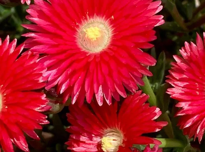 La Casa Del Sole לינה וארוחת בוקר סלה בגאנצה