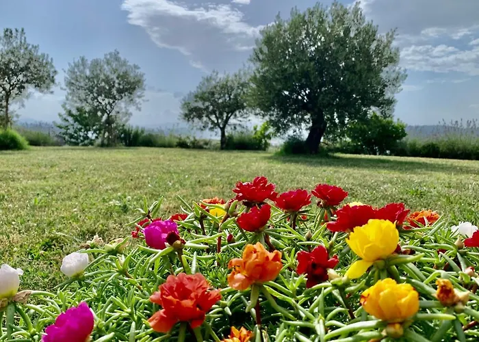 La Casa Del Sole לינה וארוחת בוקר 3*