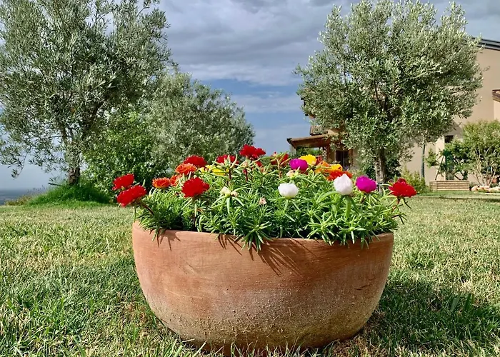 B&B La Casa Del Sole 살라바간자