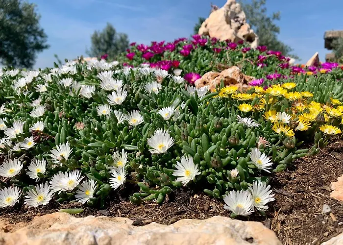 La Casa Del Sole B&B